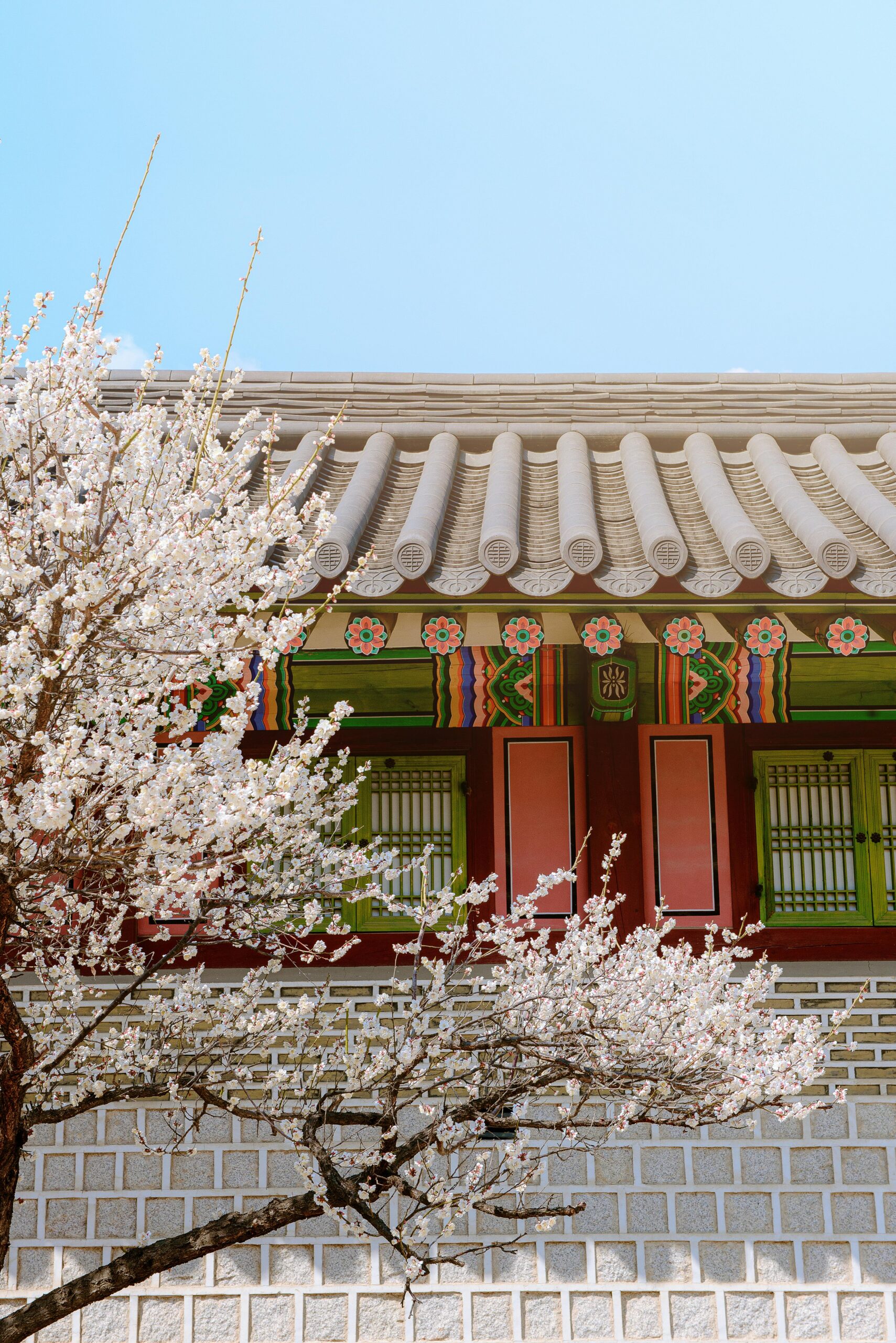 Top 5 Must-Buy Items When Visiting Korea