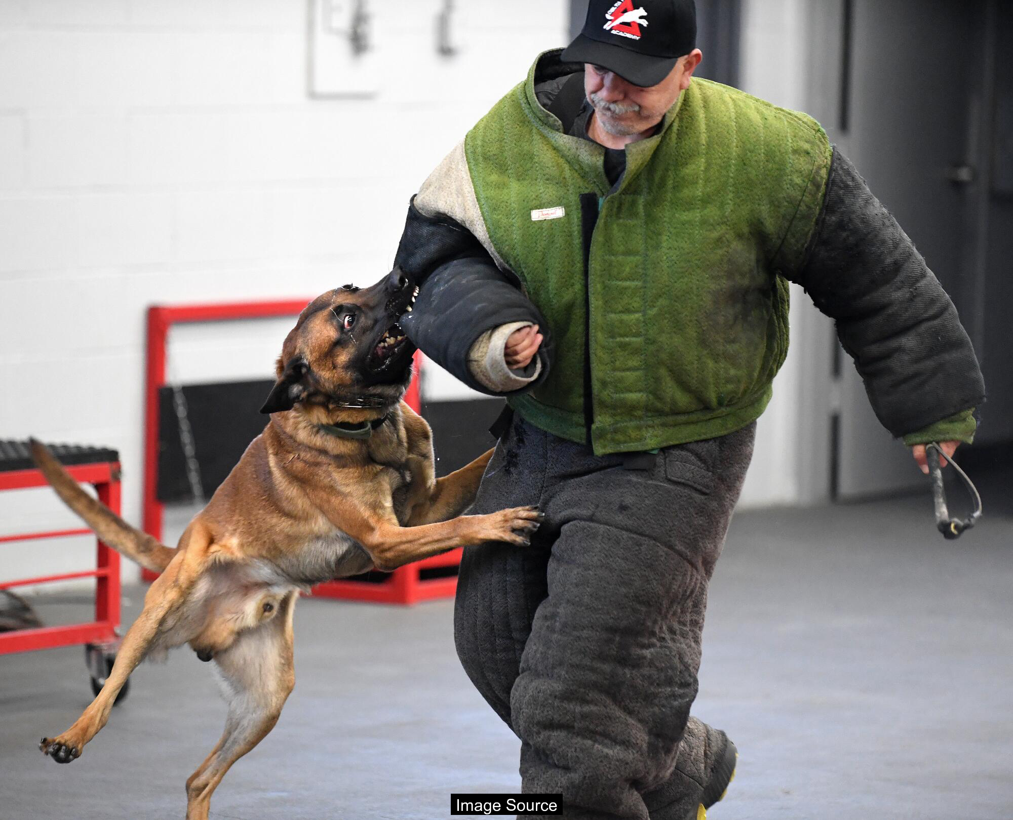 L.A. Writers Explore the City’s Unfolding Future and Potential Transformation